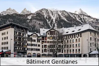 a group of buildings in front of a mountain at L'Aiguille - maeva Home - 2 Pièces 4 Personnes Prestige MAE-0414 in Chamonix-Mont-Blanc