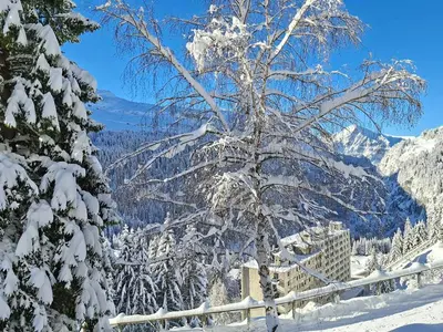 a tree covered in snow next to a fence at Appartement spacieux au pied des pistes avec balcon et WIFI - FR-1-425-212 in Arâches-la-Frasse