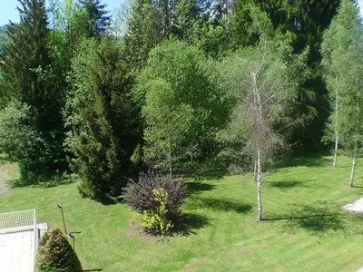 an aerial view of a yard with trees at 3 pièces avec terrasse, animaux admis, parking – Samoëns - FR-1-629-137 in Samoëns