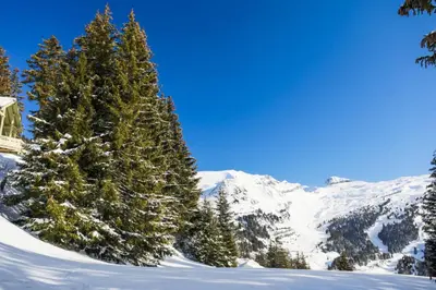 a christmas tree in the snow in front of a mountain at Les Chalets de Flaine Hameau - maeva Home - Chalet 4 Pièces 8 Personnes - Confort MAE-3660 in Flaine