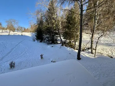 a snow covered field with trees and a snowboard at Studio confortable proche du centre avec parking, navette et randonnées à Megève - FR-1-597-190 in Megève