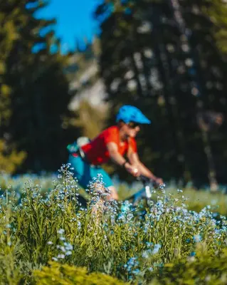 a man riding a bike through a field of flowers at Le Cristal MT10 - Central Apartment - Close to ski lift - FreeParking in Chamonix-Mont-Blanc