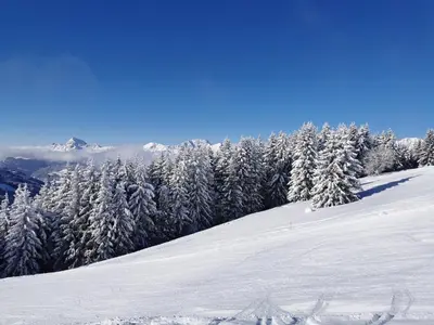 a snow covered slope with snow covered trees on a mountain at SANTA MARIA MEGEVE proche village in Megève
