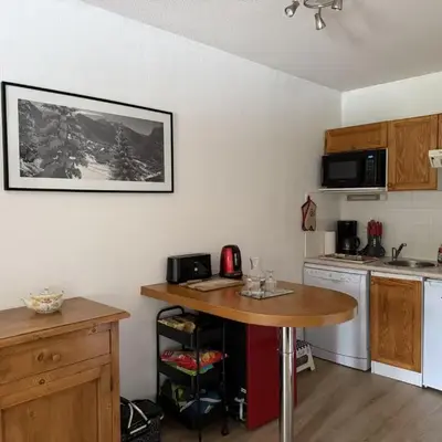 Appartement cosy 1 chambre - Samoëns - Wifi - FR-1-846-25