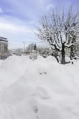 a pile of snow in front of a tree at Apartment in Chamonix Centre-Ville by Interhome in Chamonix-Mont-Blanc
