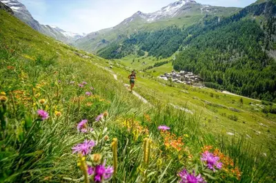 a person walking up a hill with flowers at Apartment Les Avouilles Close to Chamonix Mont Blanc in Chamonix-Mont-Blanc