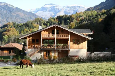 a cow grazing in a field in front of a house at Chalet Brio in Samoëns