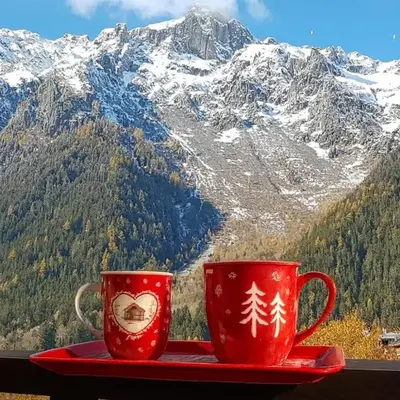 Le Sapi 1E Balcon panoramique Aiguilles Rouges avec parking gratuit