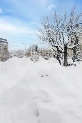 a pile of snow in front of a tree at Apartment Le Choucas by Interhome in Chamonix-Mont-Blanc