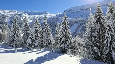 a group of trees covered in snow on a mountain at Résidence Les Pleiades - Appartement lumineux et confortable · Centre station · Balcon · Parking couvert MAE-7351 in Flaine