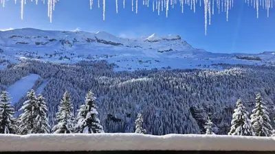 a view of a snow covered forest with icicles at Résidence Les Pleiades - Appartement spacieux et lumineux · Centre station · Balcon · Parking couvert MAE-7355 in Flaine