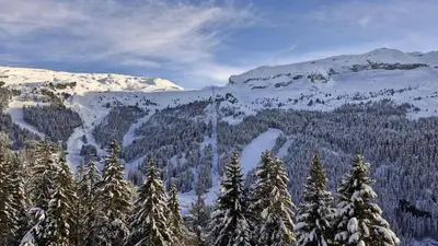 a snowy mountain with trees and snow covered mountains at Résidence Les Pleiades - Appartement confortable avec cabine · Centre station · Balcon · Parking couvert MAE-7366 in Flaine
