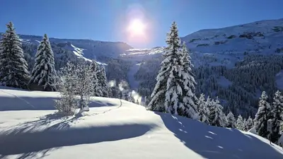 a snow covered mountain with trees and the sun in the background at Résidence Belier - Appartement confortable et lumineux · Au pied des pistes · WIFI gratuit et illimité MAE-7384 in Flaine