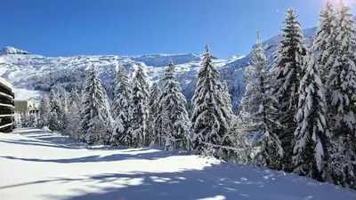 a group of trees covered in snow on a mountain at Résidence Les Pleiades - Appartement confortable · Centre station · Parking couvert · Balcon MAE-7401 in Flaine