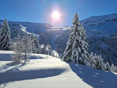 a snow covered mountain with trees and the sun in the background at Appartement lumineux au pied des pistes avec WIFI gratuit - FR-1-425-145 in Flaine
