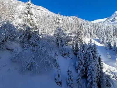 an aerial view of snow covered trees in a mountain at Studio confortable proche des pistes, idéal pour 4 personnes - FR-1-425-182 in Flaine