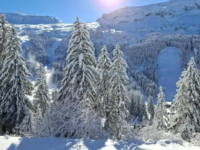 a group of snow covered trees on a mountain at Studio rénové avec balcon proche des pistes, casier à ski - FR-1-425-156 in Flaine