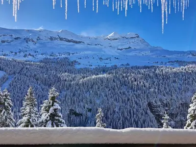 a view of a snow covered mountain with trees and icicles at Appartement rénové, Balcon sud, Animaux admis, Parking en option - FR-1-425-155 in Flaine