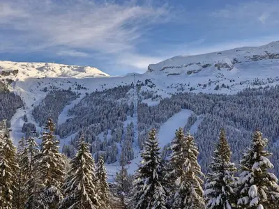 a snowy mountain with trees and snow covered mountains at Appartement rénové, Balcon sud, Animaux admis, Parking en option - FR-1-425-155 in Flaine