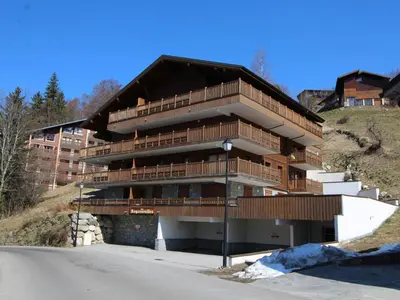 a large building with wooden balconies on a hill at Appartement 3 pièces avec garage, terrasse, proche pistes et commerces à Arâches-la-Frasse - FR-1-572-250 in Arâches-la-Frasse