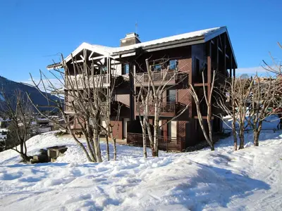 a house in the snow with trees in front of it at Studio spacieux 5 pers avec parking aux Carroz d'Arâches - FR-1-572-192 in Arâches-la-Frasse