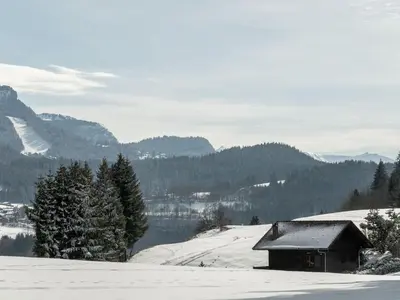 a house on a snow covered hill with trees at Studio cosy 4 pers au cœur de la station, proche des pistes et commerces - FR-1-572-268 in Arâches-la-Frasse