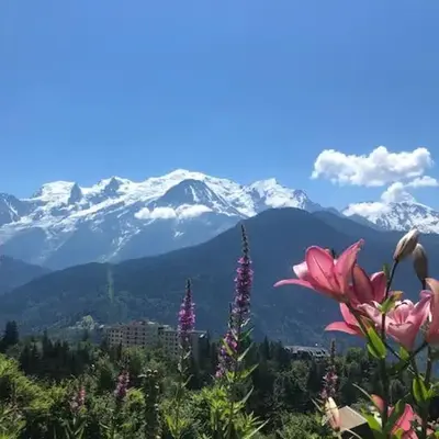 Appartement au pays du Mont-Blanc
